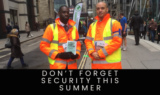 Don’t Forget Security This Summer